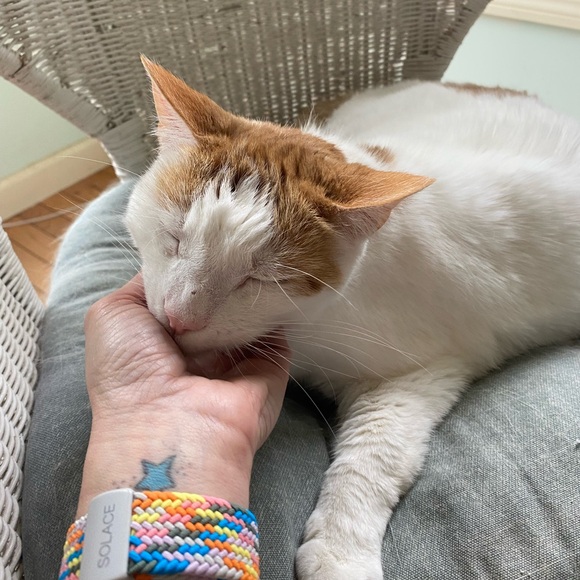 Meet your Posher, Mary - Picture 10 of 11